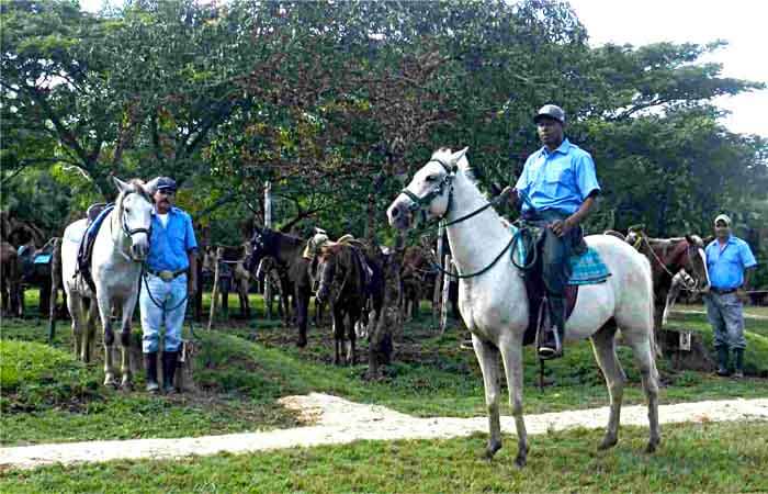 Bacab Eco Park Horseback Riding Instructors