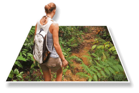 Jungle Trek Belize - Contact Us